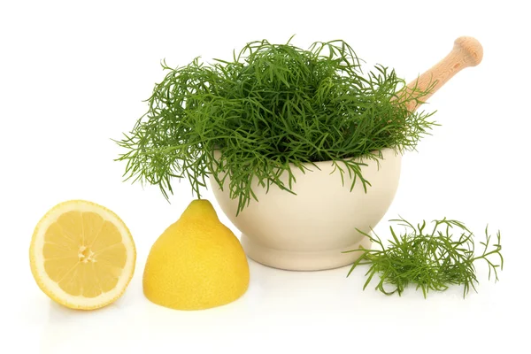 Dillkraut und Zitrone — Stockfoto