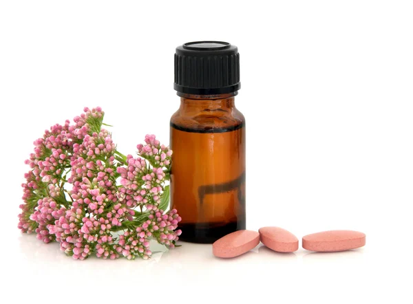 Valerian Herb Therapy — Stock Photo, Image