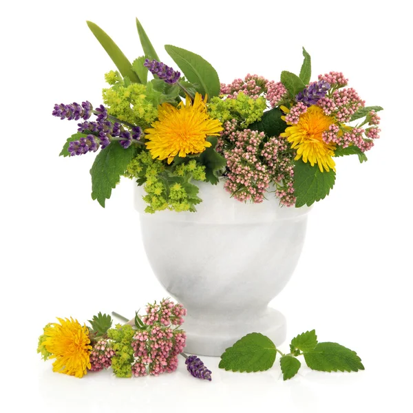Ervas e flores de cura — Fotografia de Stock