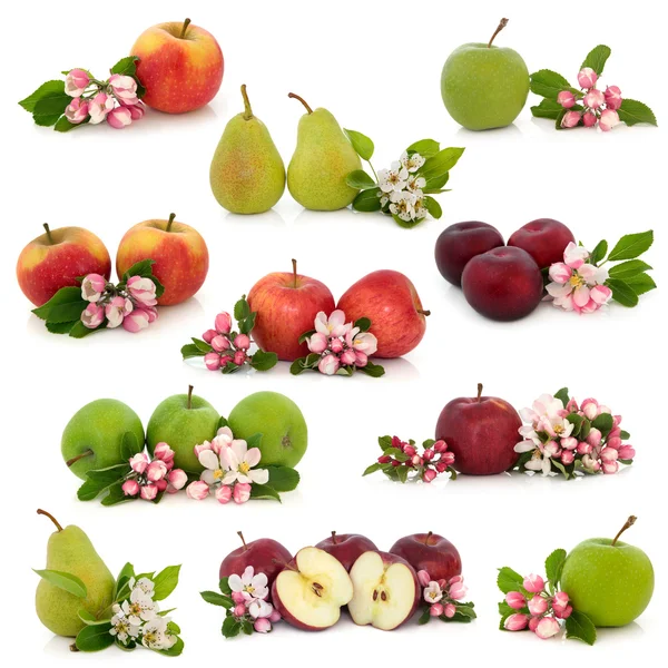 Coleta de frutas — Fotografia de Stock