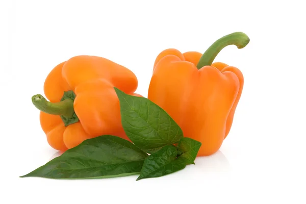Orange Peppers — Stock Photo, Image