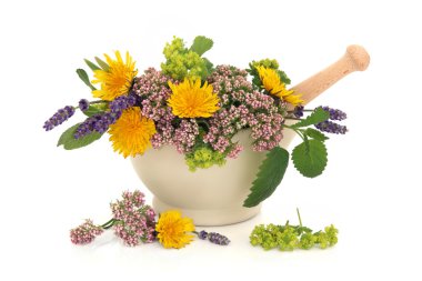 Herb Flower Selection clipart