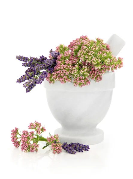 Valeriaan en lavendel kruid bloemen — Stockfoto