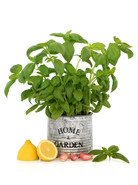 Basil Herb, Garlic and Lemon — Stock Photo, Image