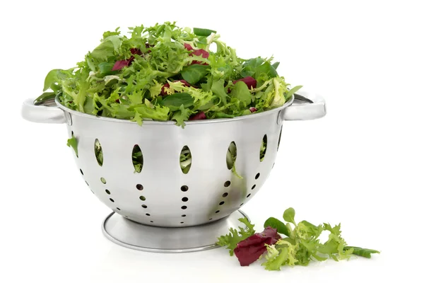 Lettuce Salad Leaves — Stock Photo, Image