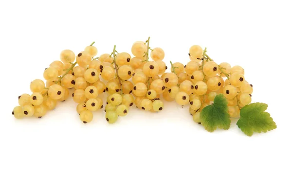 Fruits de groseille blanche — Photo