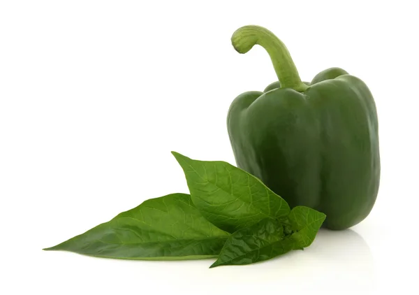 Green Pepper — Stock Photo, Image
