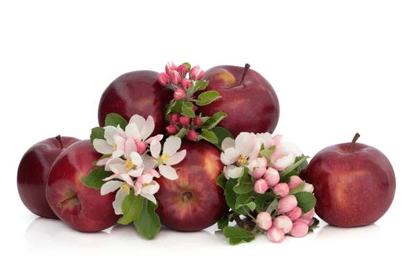 Яблука і квітка квіти — стокове фото