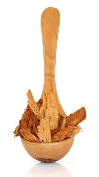 Astragalus Root — Stock Photo, Image