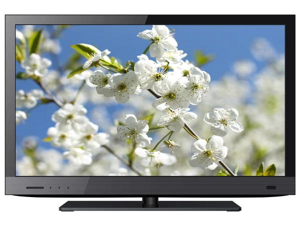 TV na białym tle — Zdjęcie stockowe