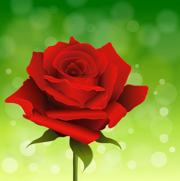 Rose fond — Image vectorielle