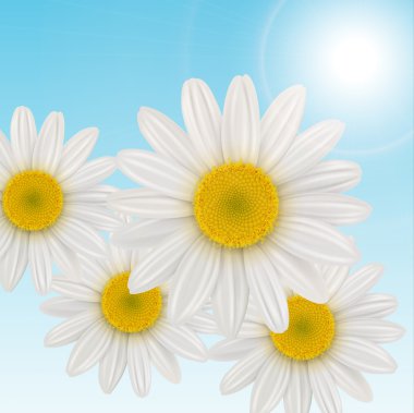 Flowers background clipart