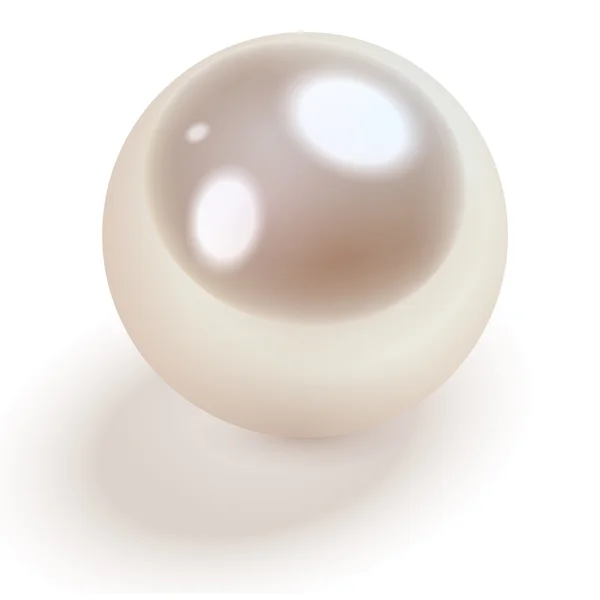 Perla blanca — Vector de stock