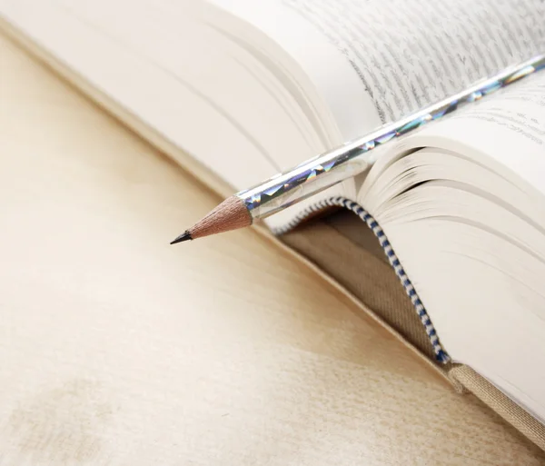 Ανοιχτό βιβλίο και ένα στυλό — Φωτογραφία Αρχείου