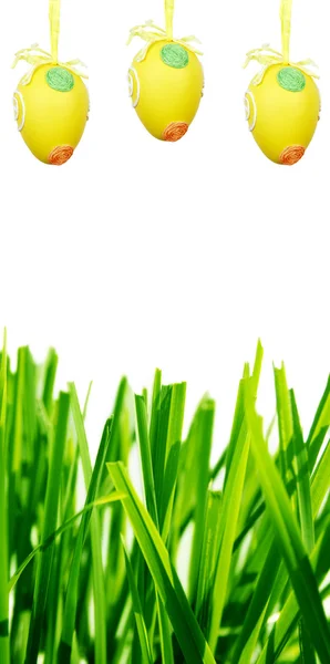 Pisanki i trawa zielona — Zdjęcie stockowe