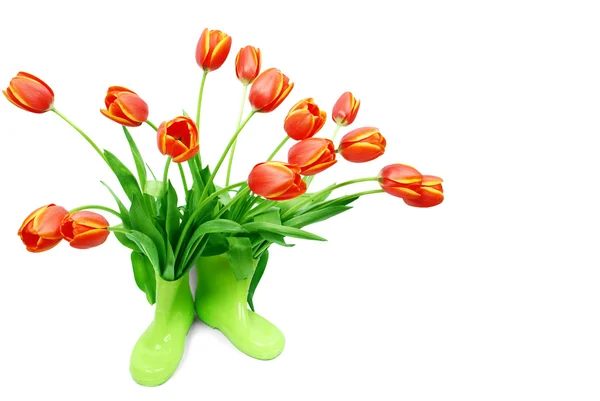 Fresh tulips in green boots — Stock Photo, Image