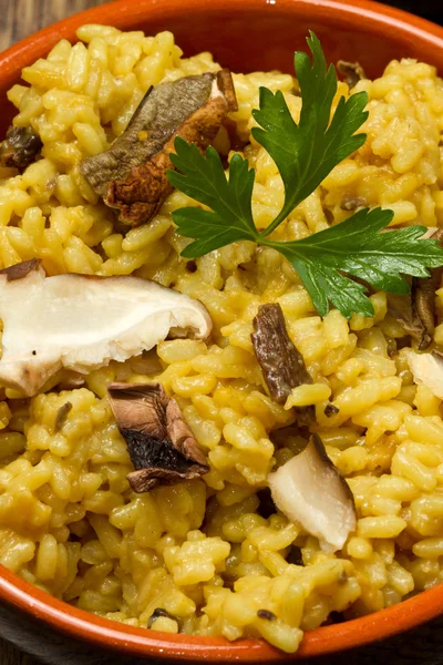 stock image Risotto with saffron and mushrooms