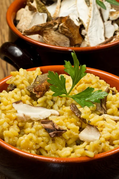 stock image Risotto with saffron and mushrooms