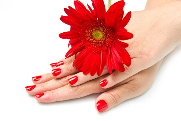Mains femme avec manucure rouge et fleur rouge — Photo