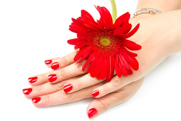 Mãos de mulher com manicure vermelho — Fotografia de Stock