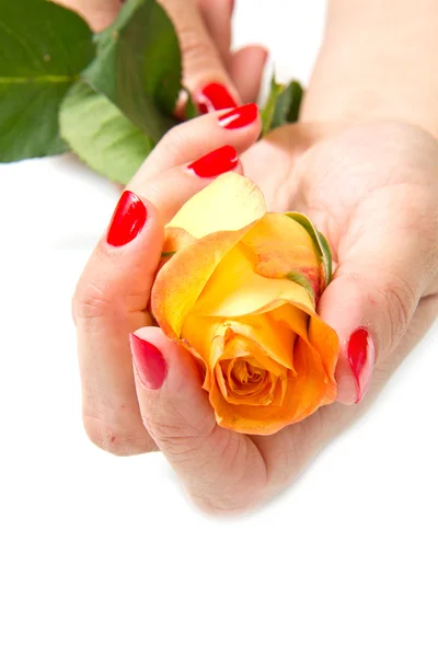Mani donna con manicure rossa — Foto Stock