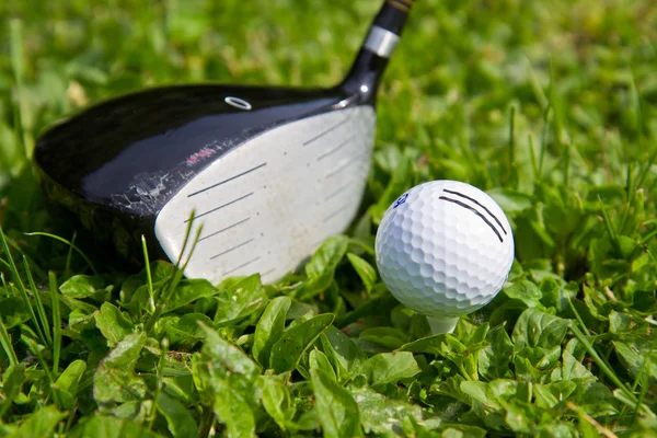 Golfboll på tee — Stockfoto