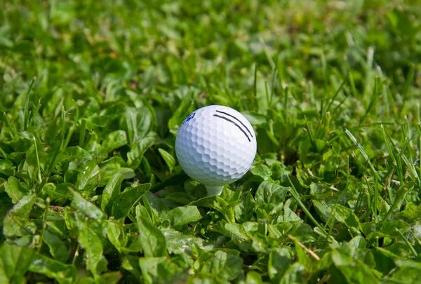 緑の芝生の上のゴルフボール ストック画像