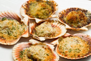 Fresh scallops au gratin in the oven clipart