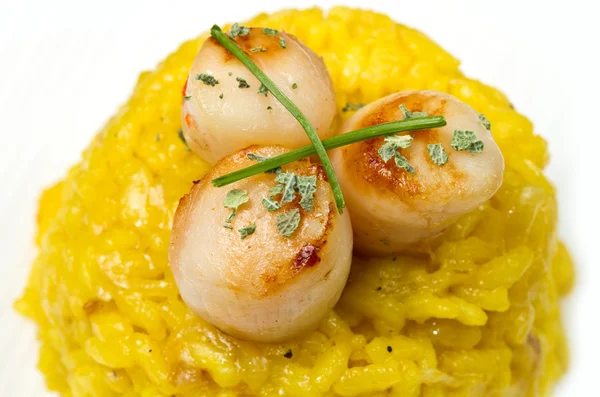 Saffron risotto with grilled scallops — Stock Photo, Image