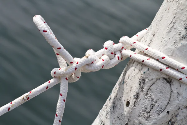 Un groupe de noeuds blancs de marin — Photo