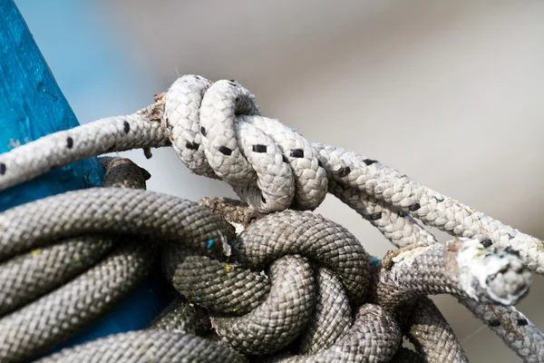 A group of sailor' s white knot — Stock Photo, Image