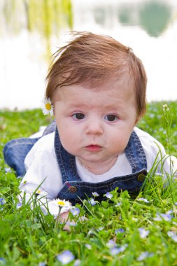 daisy ile yeşil çimenlerin üzerinde bebek