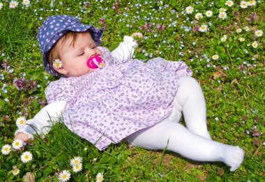 daisy ile yeşil çimenlerin üzerinde bebek