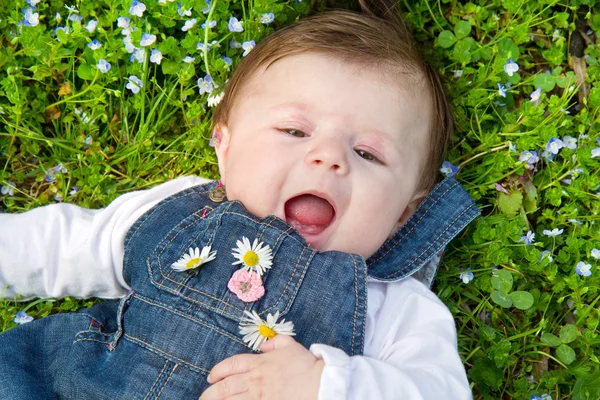 Baby on green grass with daisy — Stock Photo, Image