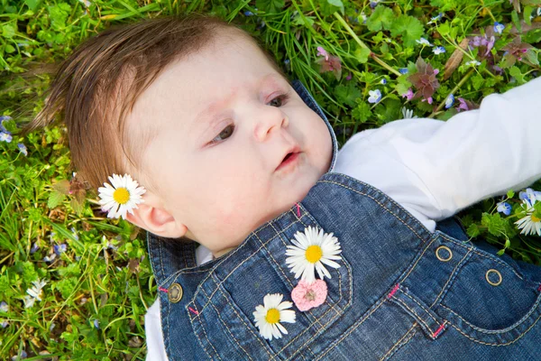 Дитина на зеленій траві з ромашкою — стокове фото