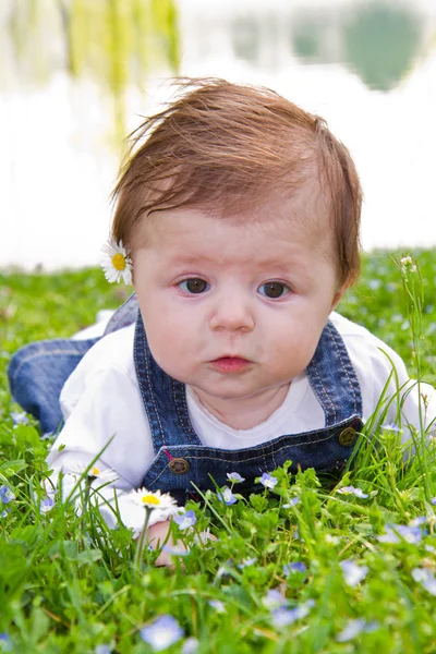 Dziecko na zielonej trawie z stokrotka — Zdjęcie stockowe
