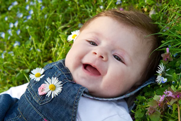 Dítě na zelené trávě s daisy — Stock fotografie