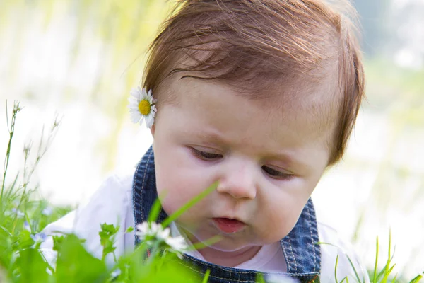 Baby auf grünem Gras mit Gänseblümchen — Stockfoto