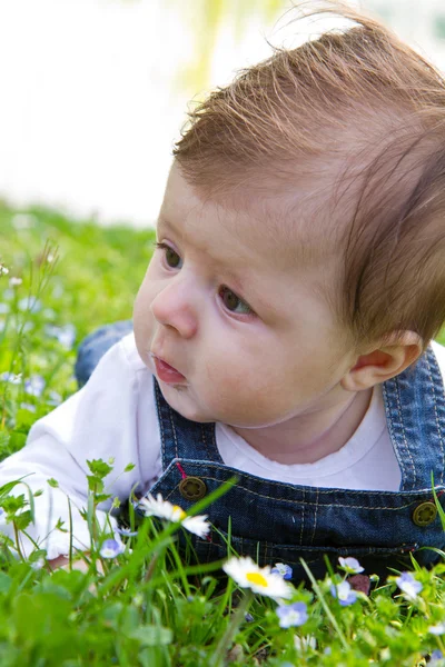 Bambino su erba verde con margherita — Foto Stock
