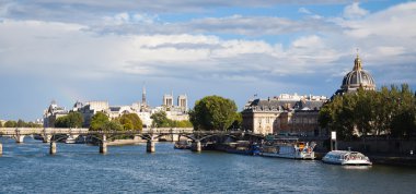 Panorama of Paris - view on Seine river clipart