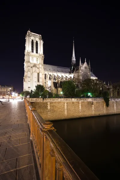 Katedrála Notre dame v noci. Paříž, Francie — Stock fotografie