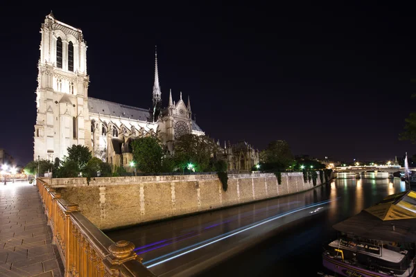 Catedral de Notre Dame por la noche. París, Francia Imagen de archivo