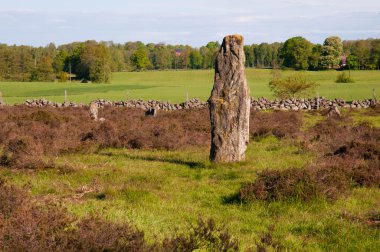 Viking age burial site clipart