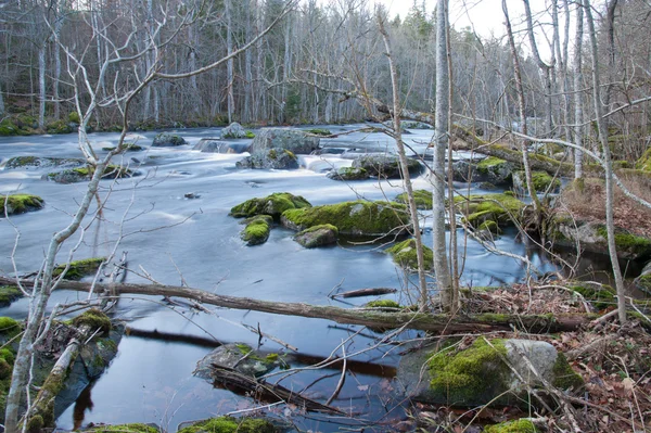 Wilde rivier in de bossen van Zuidoost-Zweden. — Stockfoto