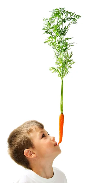 Niño con zanahorias — Foto de Stock