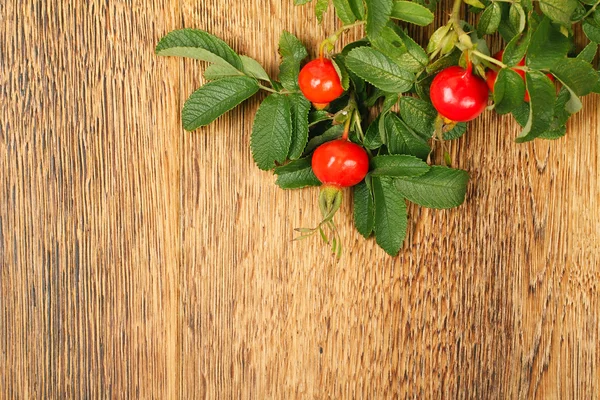 Dog rose on a wooden surface — Stock Photo, Image