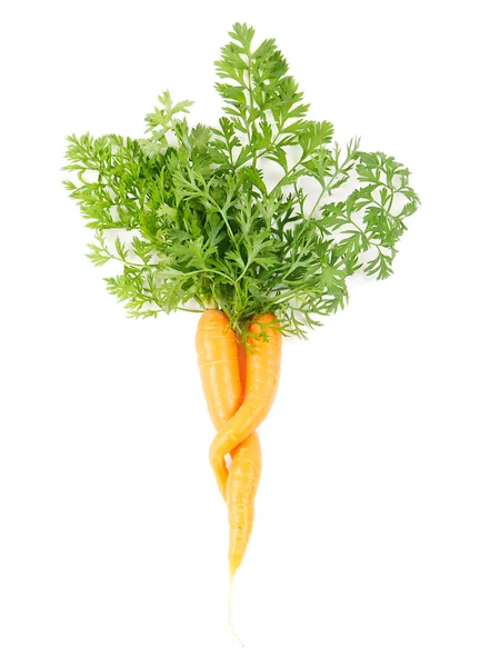 गाजर की जोड़ी — स्टॉक फ़ोटो, इमेज