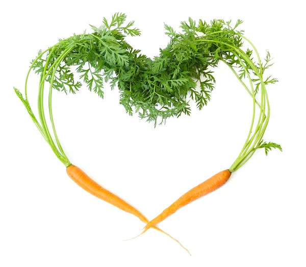 Two carrots — Stock Photo, Image