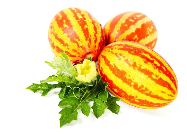 The melons — Stock Photo, Image