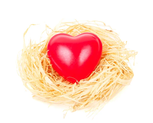 Heart in nest — Stock Photo, Image